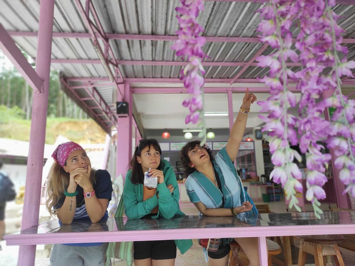 Pandri 3