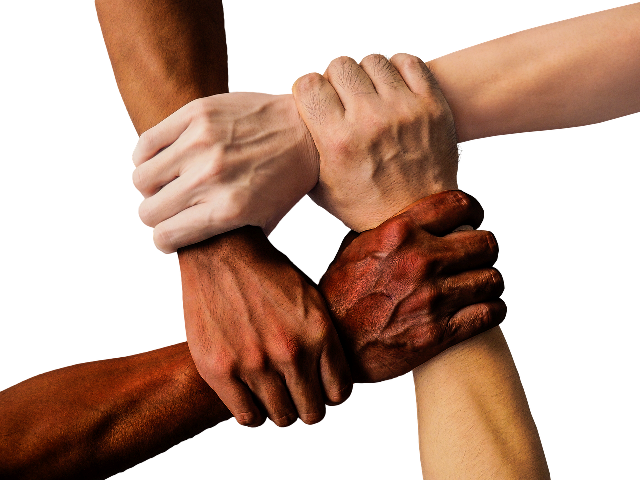 insieme hands