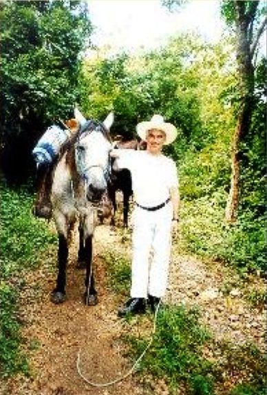 cavallo