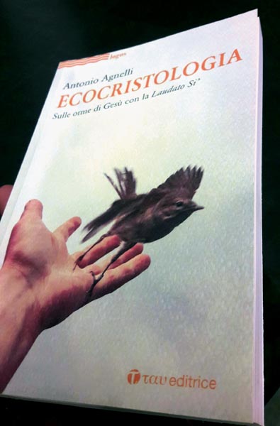 cr Agnelli libro