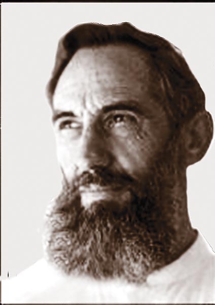 al veronesi