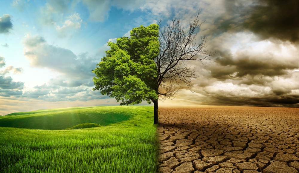 SALVIAMO LA NOSTRA MADRE TERRA!