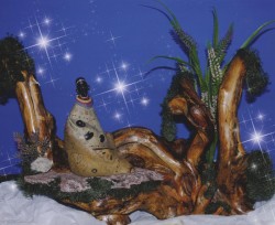 Mostra del Presepe Missionario